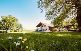 Sonnenblumenhof