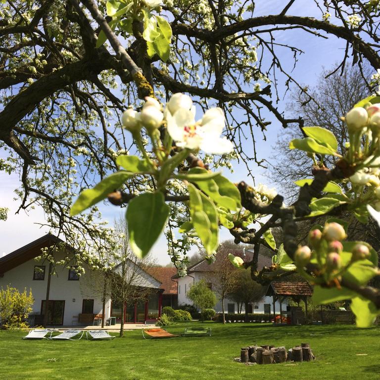 Sonnenblumenhof Pension Mühlheim Buitenkant foto