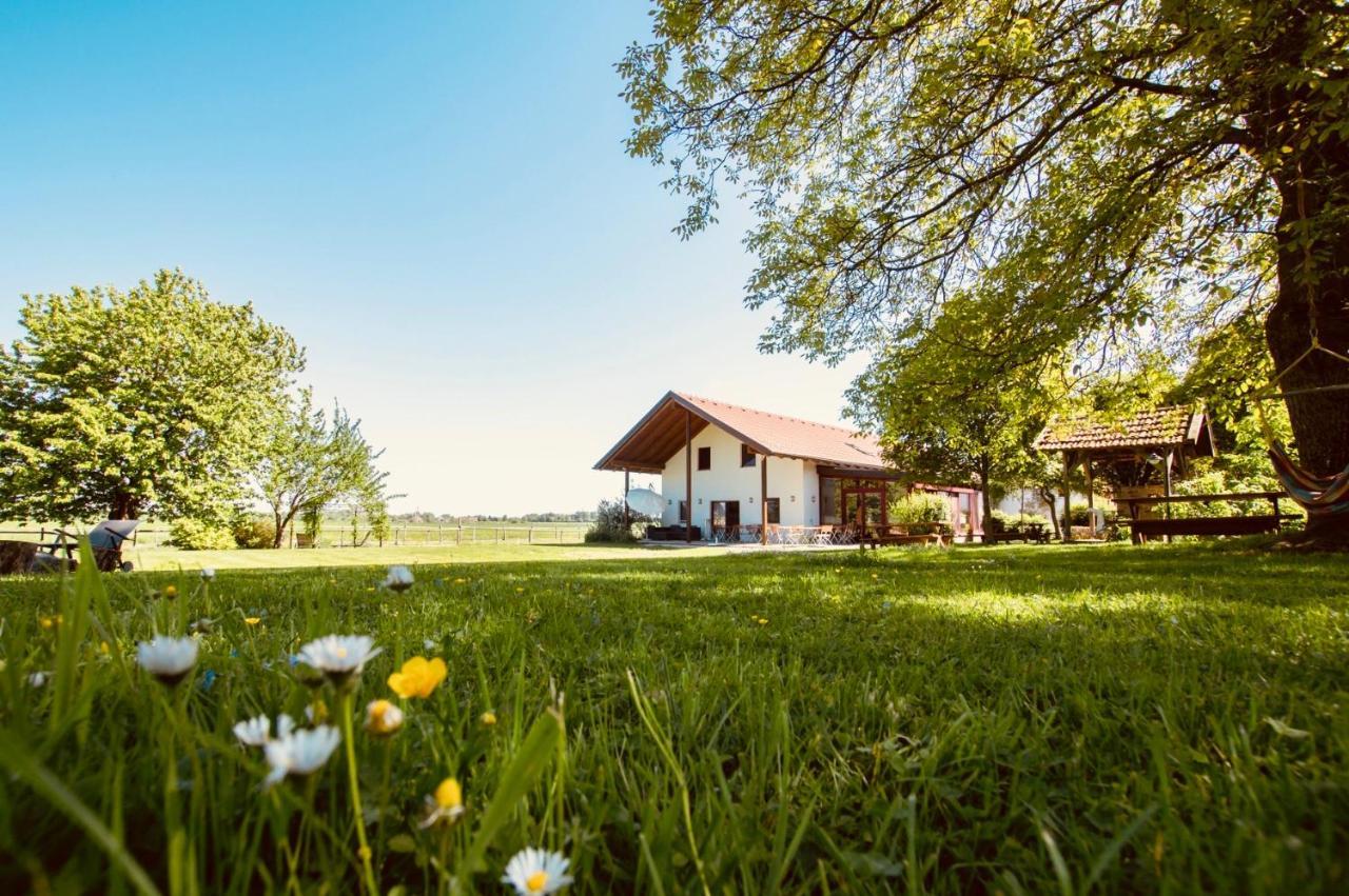 Sonnenblumenhof Pension Mühlheim Buitenkant foto